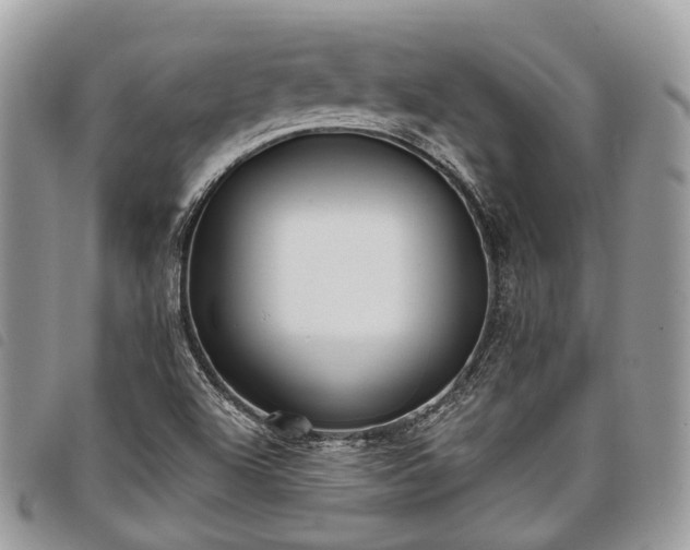 X0000098051504200804071454