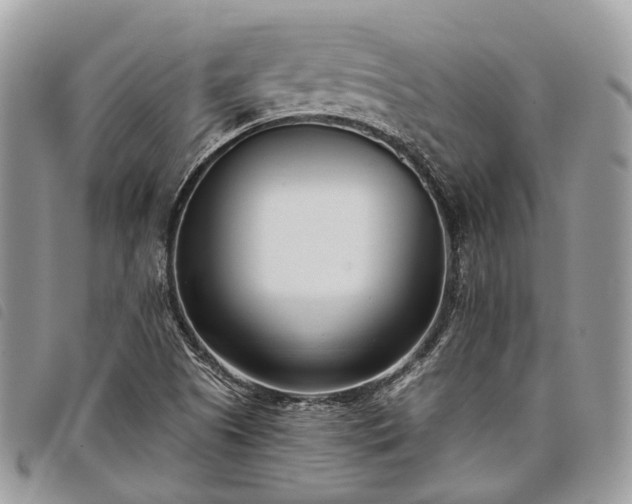 X0000098051505200804071454