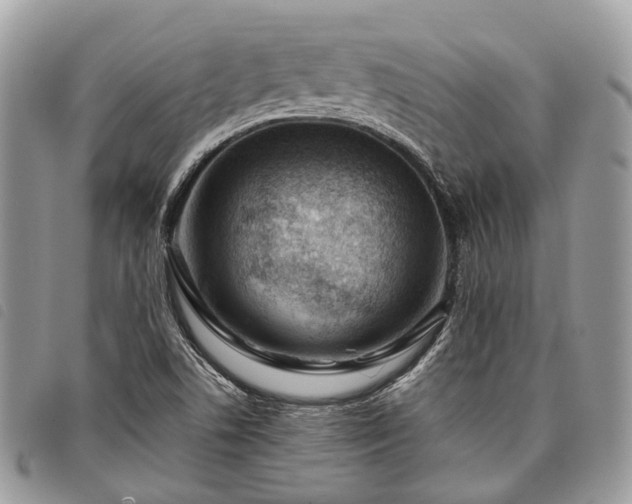 X0000098051506200804071454