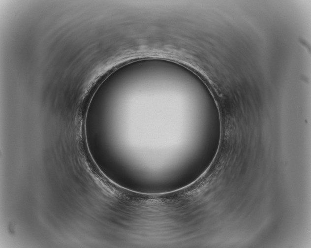 X0000098051507200804071454