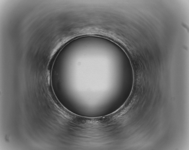 X0000098051509200804071454