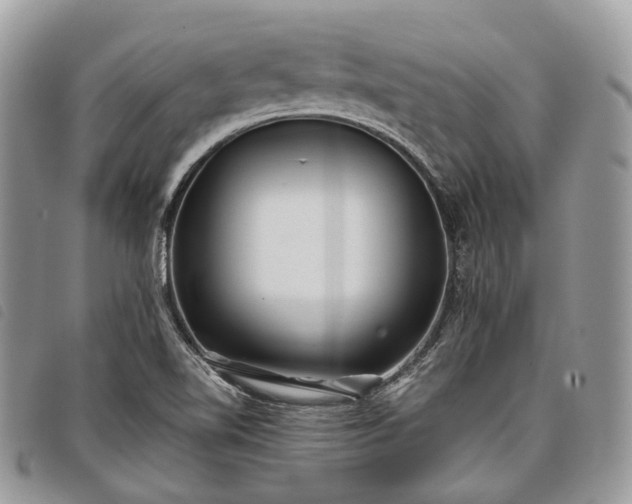 X0000098051510200804071454