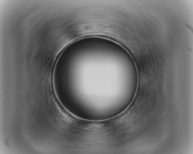 X0000098051513200804071454