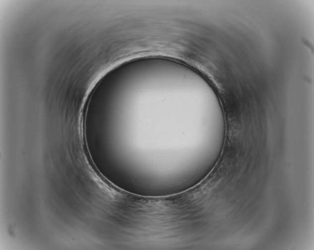 X0000098051516200804071454