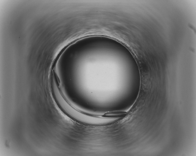 X0000098051519200804071454