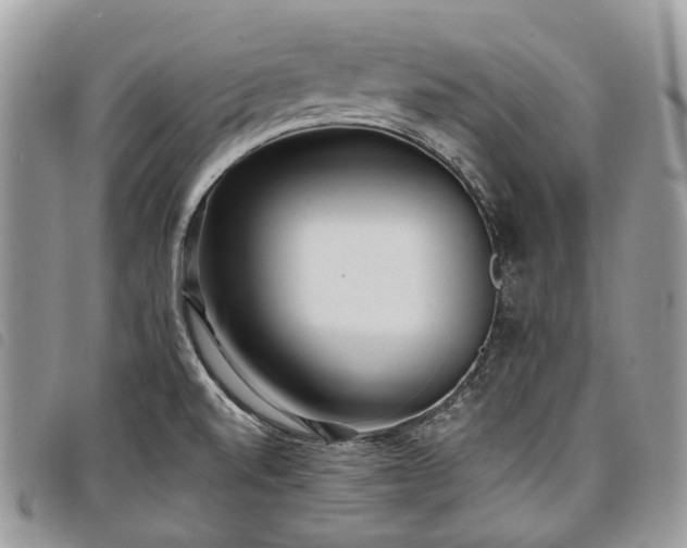 X0000098051520200804071454