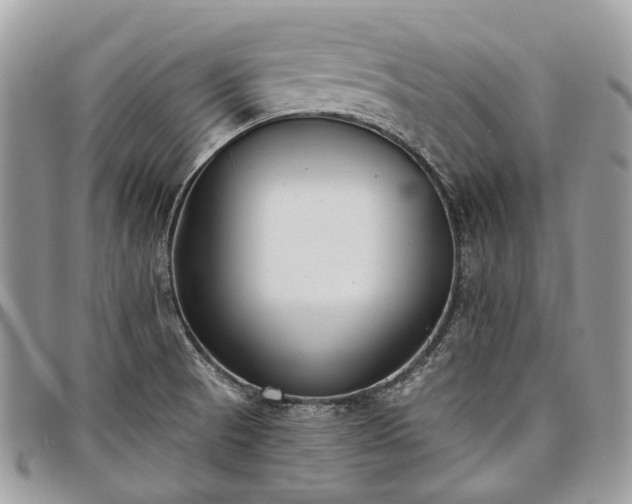 X0000098051521200804071454