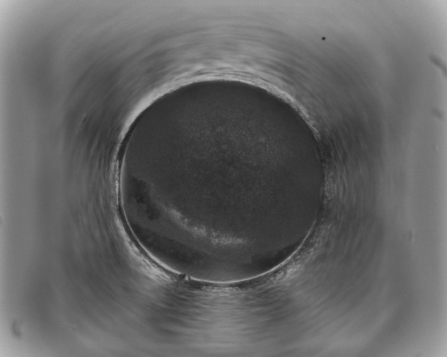 X0000098051522200804071454