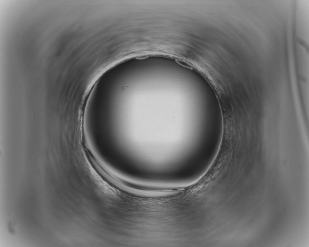 X0000098051524200804071454