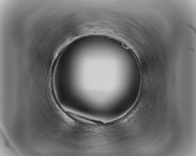 X0000098051525200804071454
