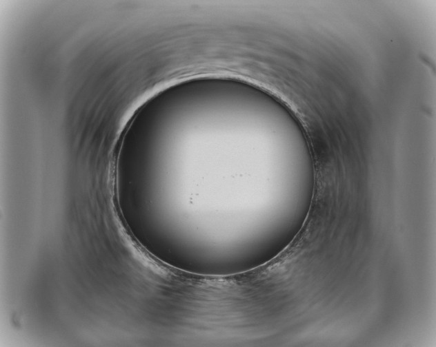 X0000098051526200804071454