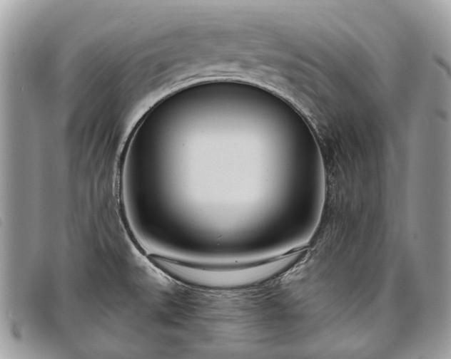 X0000098051527200804071454