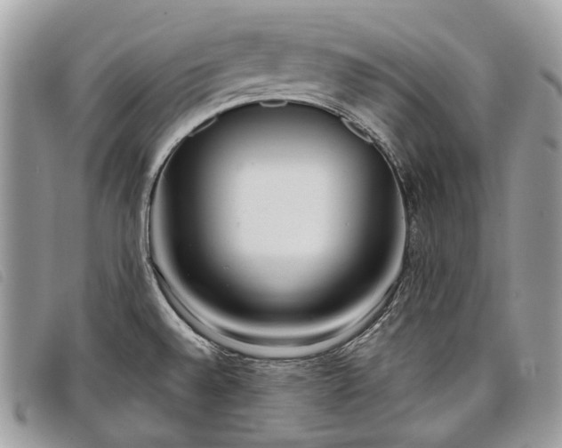 X0000098051528200804071454