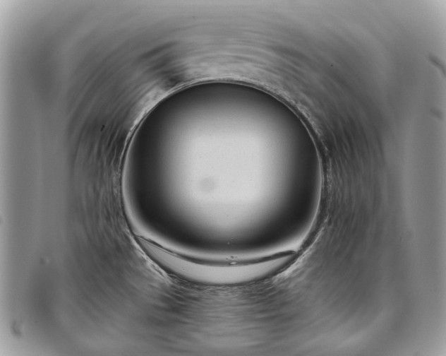 X0000098051529200804071454