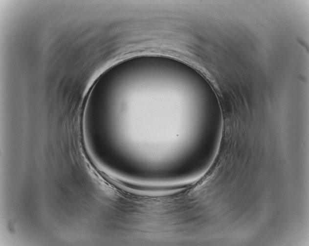 X0000098051530200804071454