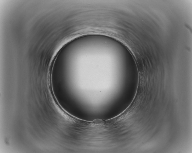 X0000098051531200804071454