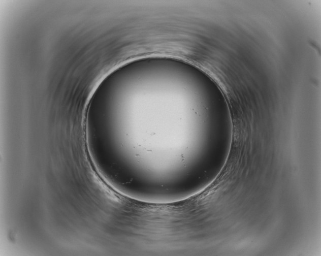 X0000098051532200804071454