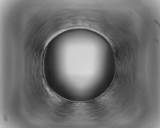 X0000098051534200804071455