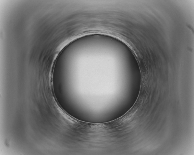 X0000098051535200804071455