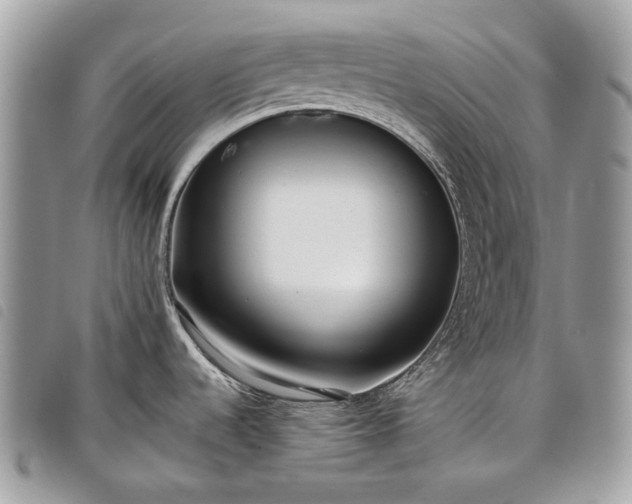 X0000098051536200804071455