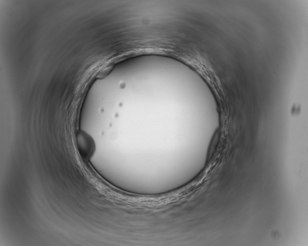 X0000098050001200804111324