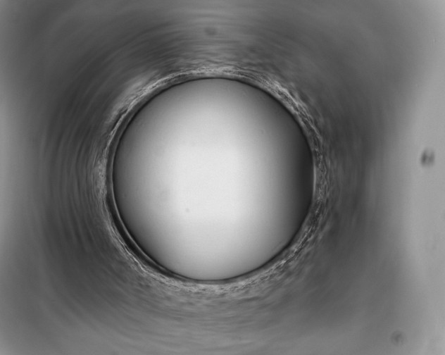 X0000098050002200804111324