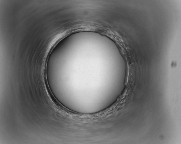 X0000098050003200804111324