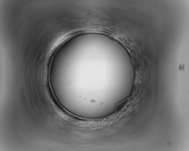 X0000098050005200804111324