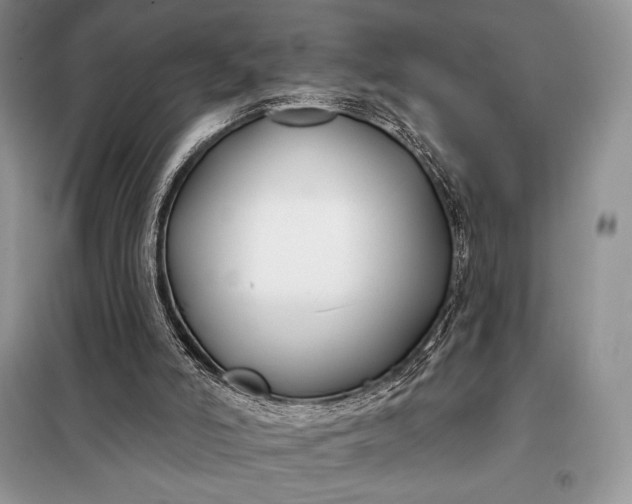 X0000098050006200804111324