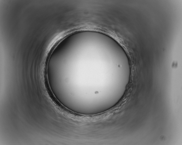 X0000098050007200804111324