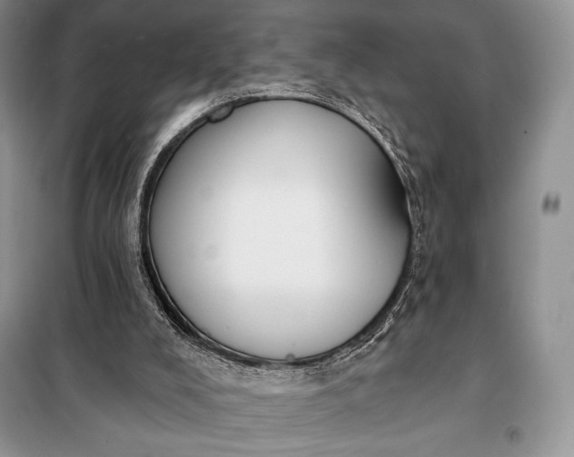 X0000098050008200804111324