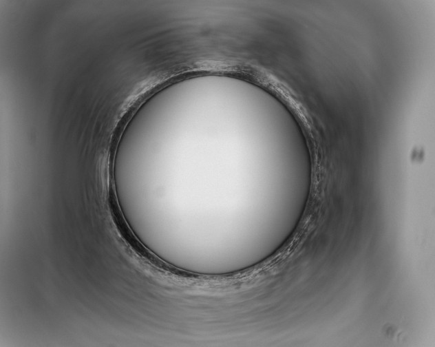 X0000098050011200804111324