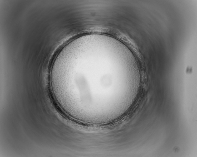 X0000098050012200804111324