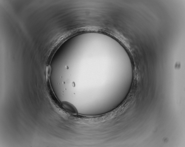 X0000098050013200804111324