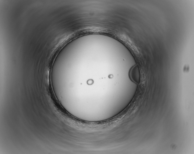 X0000098050014200804111324