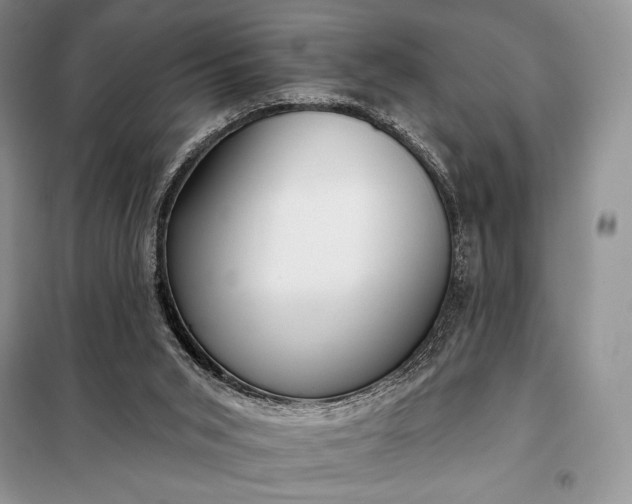 X0000098050015200804111324