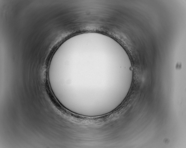 X0000098050016200804111324