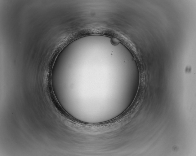 X0000098050018200804111324