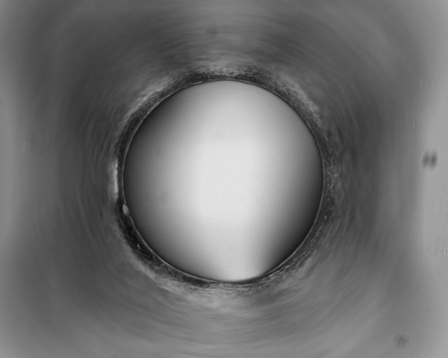 X0000098050020200804111324