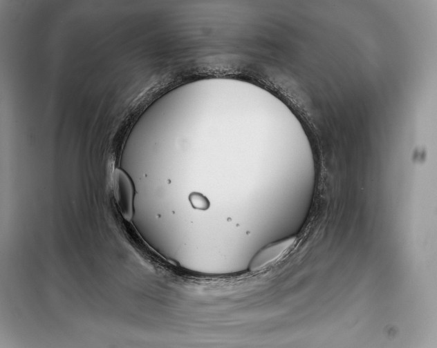 X0000098050021200804111324