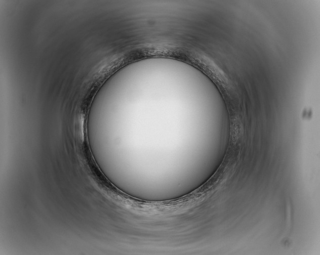 X0000098050022200804111324