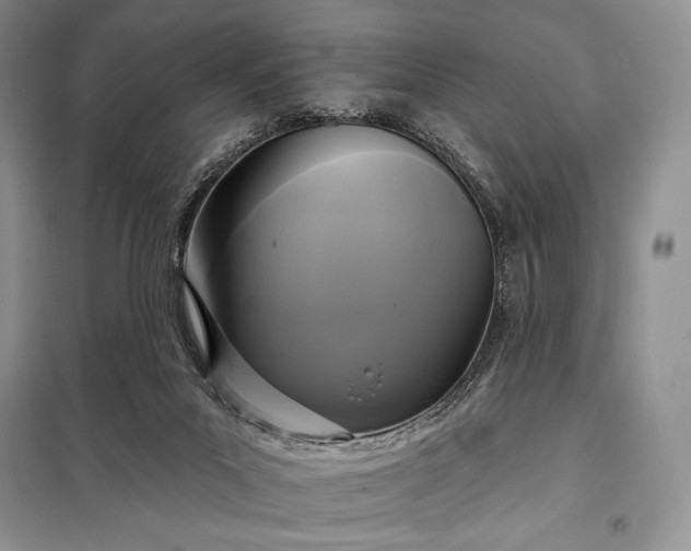 X0000098050023200804111324