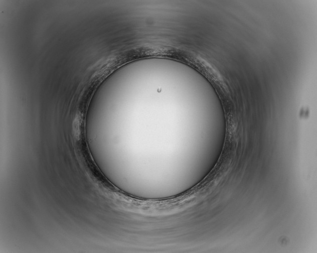 X0000098050026200804111324