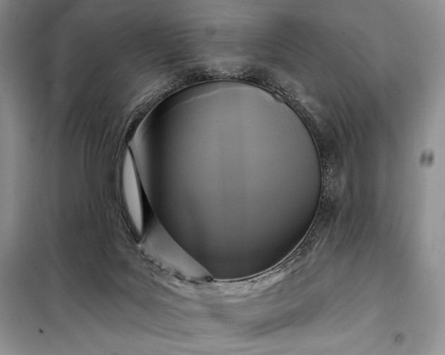 X0000098050027200804111324