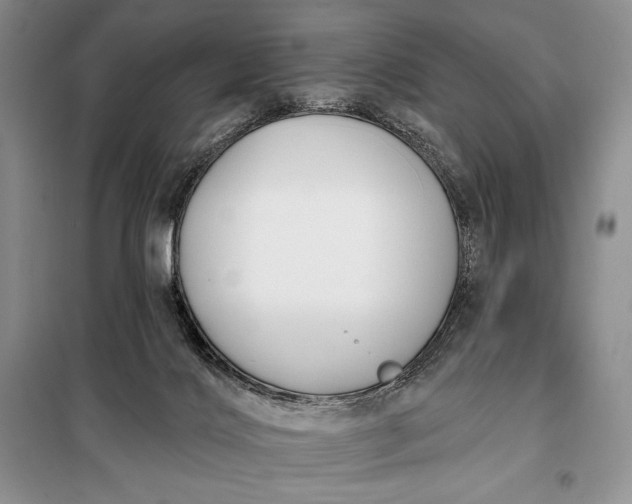 X0000098050028200804111323