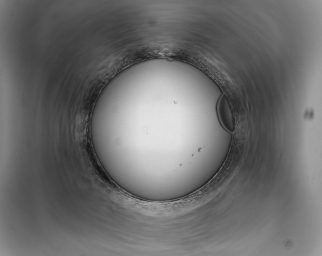 X0000098050030200804111323