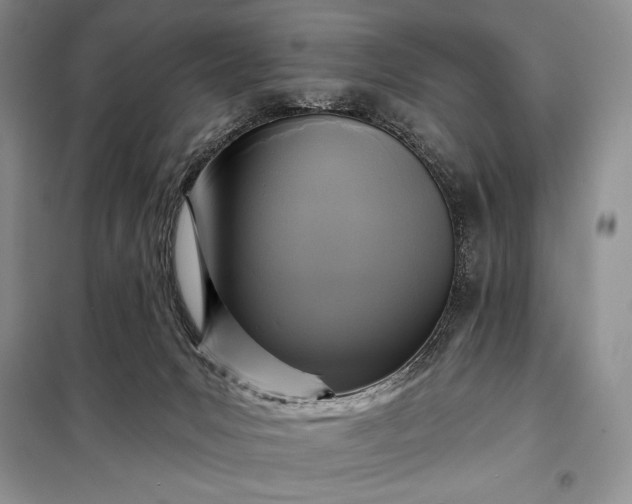 X0000098050031200804111323