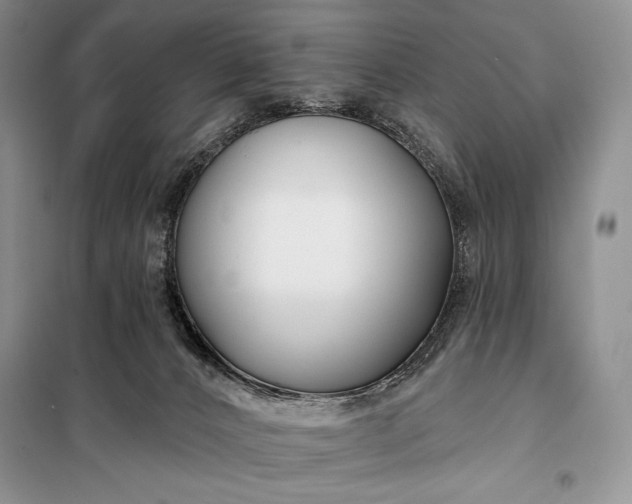 X0000098050032200804111323