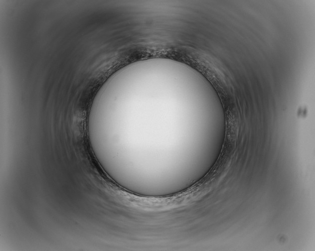 X0000098050034200804111323