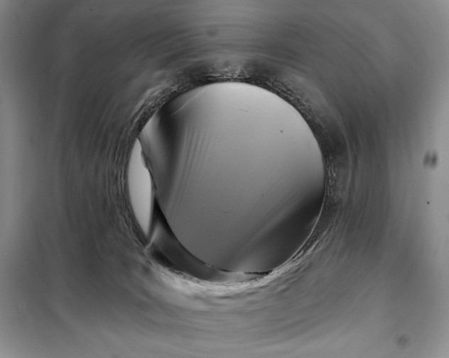 X0000098050035200804111323